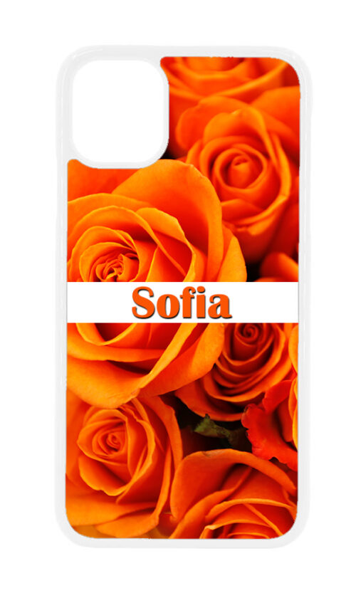 orange roses name case